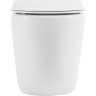 Унитаз приставной безободковый BELBAGNO BB2141CBR/BB870SC
